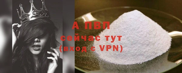 гашик Нея