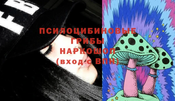 гашик Нея
