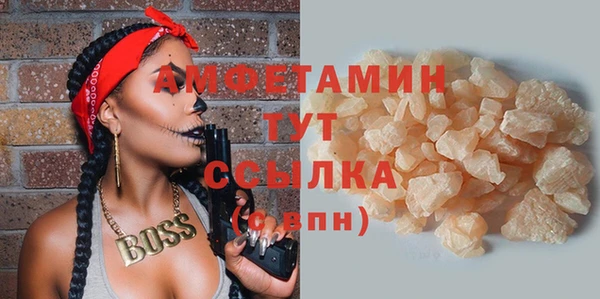 гашик Нея