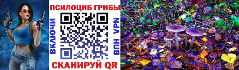Псилоцибиновые грибы Cubensis  гидра маркетплейс  Краснотурьинск 
